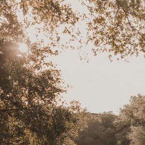 Gallery Photo 21