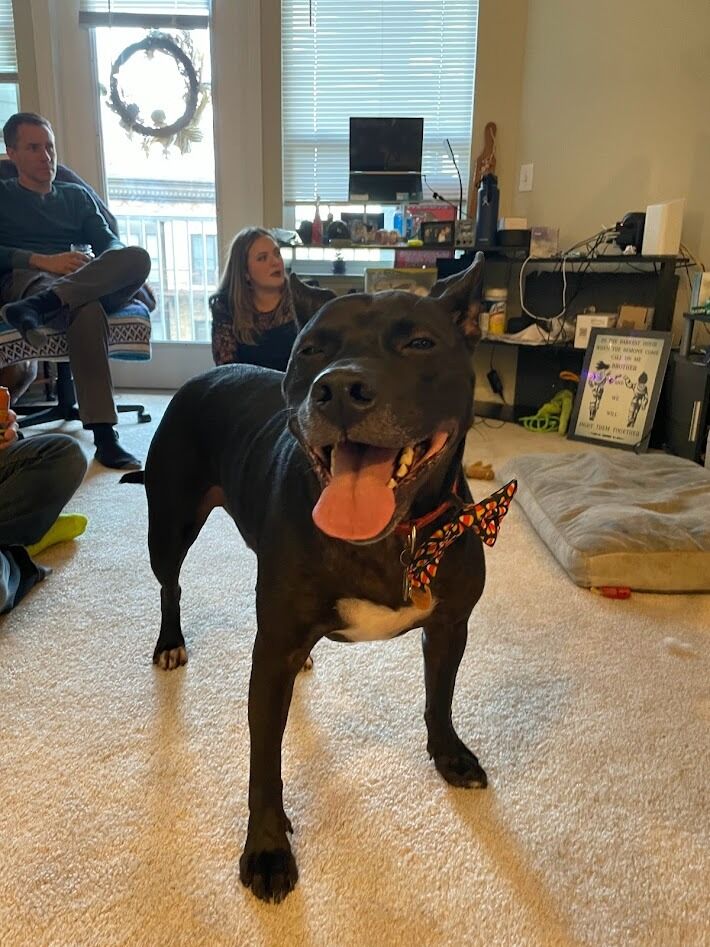 We moved into our new apartment together