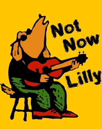 Not Now Lilly ! - Cover Band - Exton, PA - Hero Main
