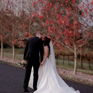 Gallery Photo 206
