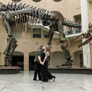 Gallery Photo 1