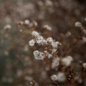 Gallery Photo 13