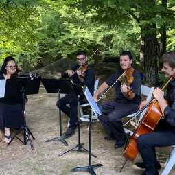 The Poulenc String Quartet, profile image