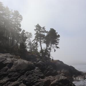 Gallery Photo 2