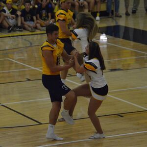 Gallery Photo 35