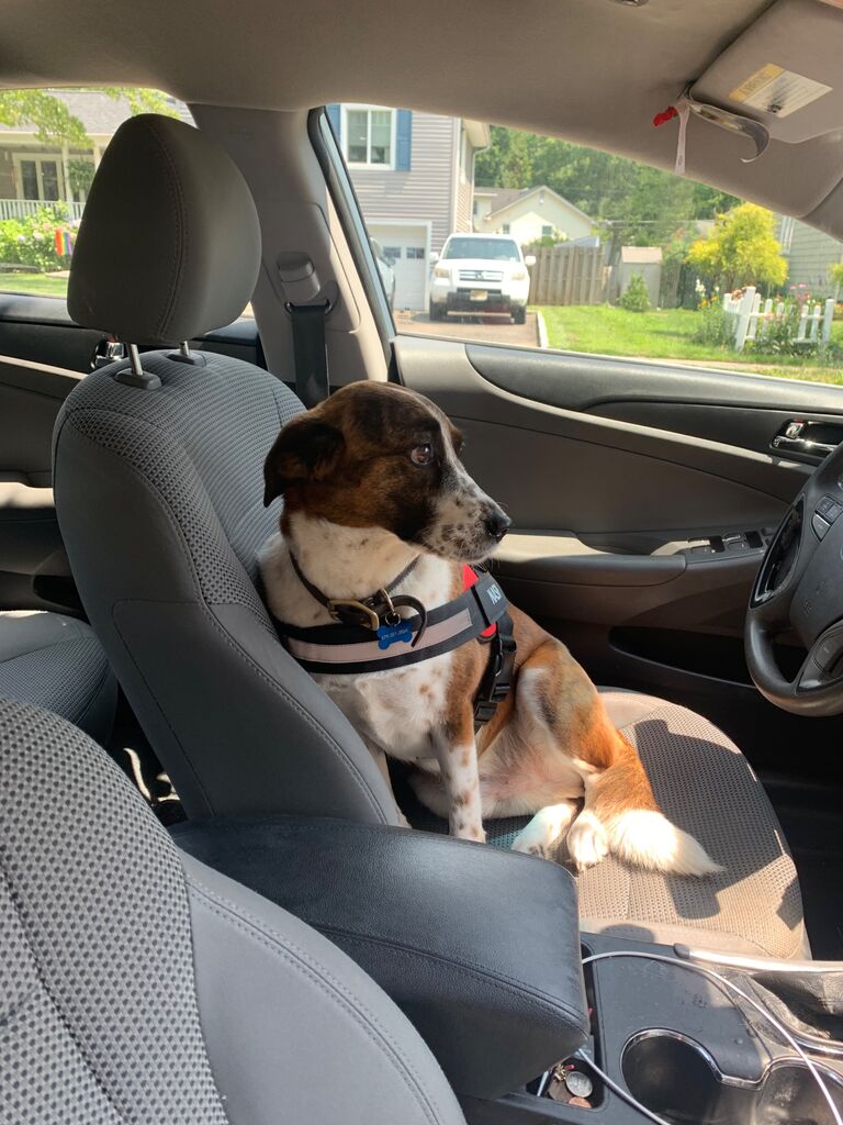 Nash made the long, twelve hour drive to join us in Morristown.