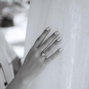 Gallery Photo 38
