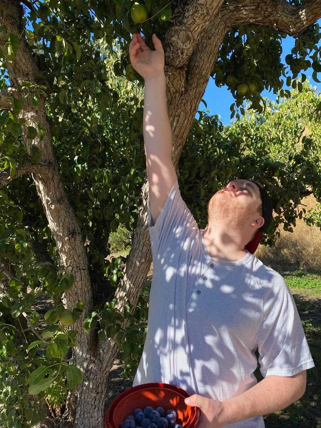 On our drive home from Victoria we made a stop in Summerland, BC at Jonathan's Grandpa's Orchard! It was so beautiful and we had so much fun picking and eating the fresh fruit!
-Natasha