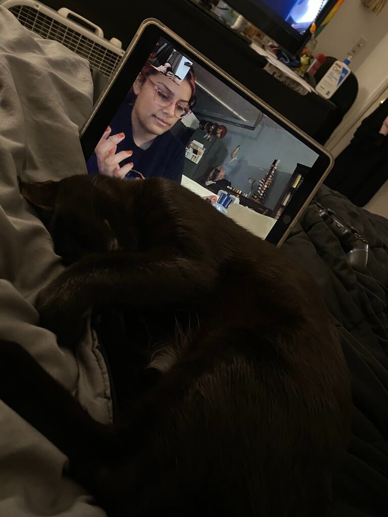 Spending hours on Facetime with my new kitten, Kiki