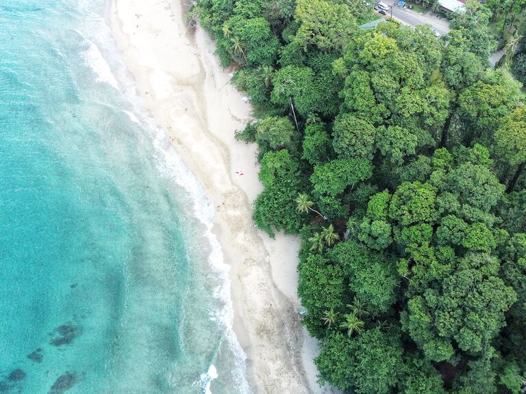 Costa Rica Honeymoon - An aerial view of a beach meeting a lush forest in Puerto Viejo, Costa Rica
