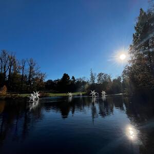 Gallery Photo 32