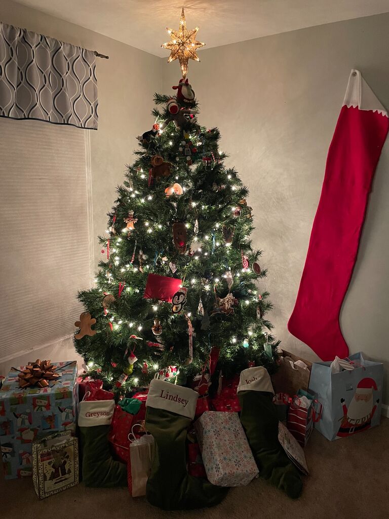 Our first Christmas in the new house 🎄