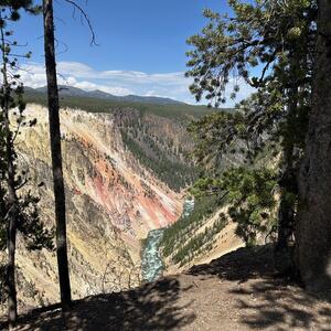 Gallery Photo 163