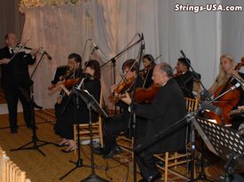Strings-USA - Violinist - North Miami Beach, FL - Hero Gallery 1