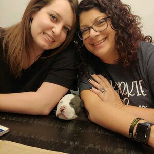 Gallery Photo 40