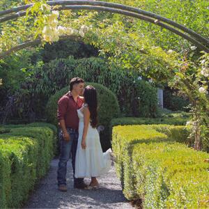 Gallery Photo 4