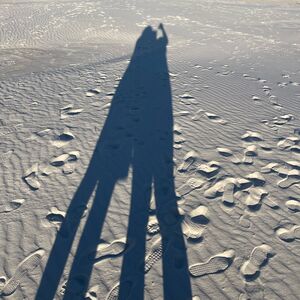 Gallery Photo 9