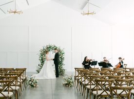 Watercress String Trio - Pop Trio - Saint Paul, MN - Hero Gallery 1