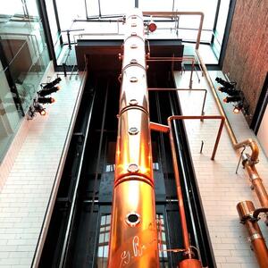 Gallery Photo 14