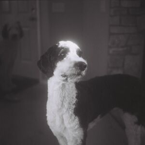 Gallery Photo 1