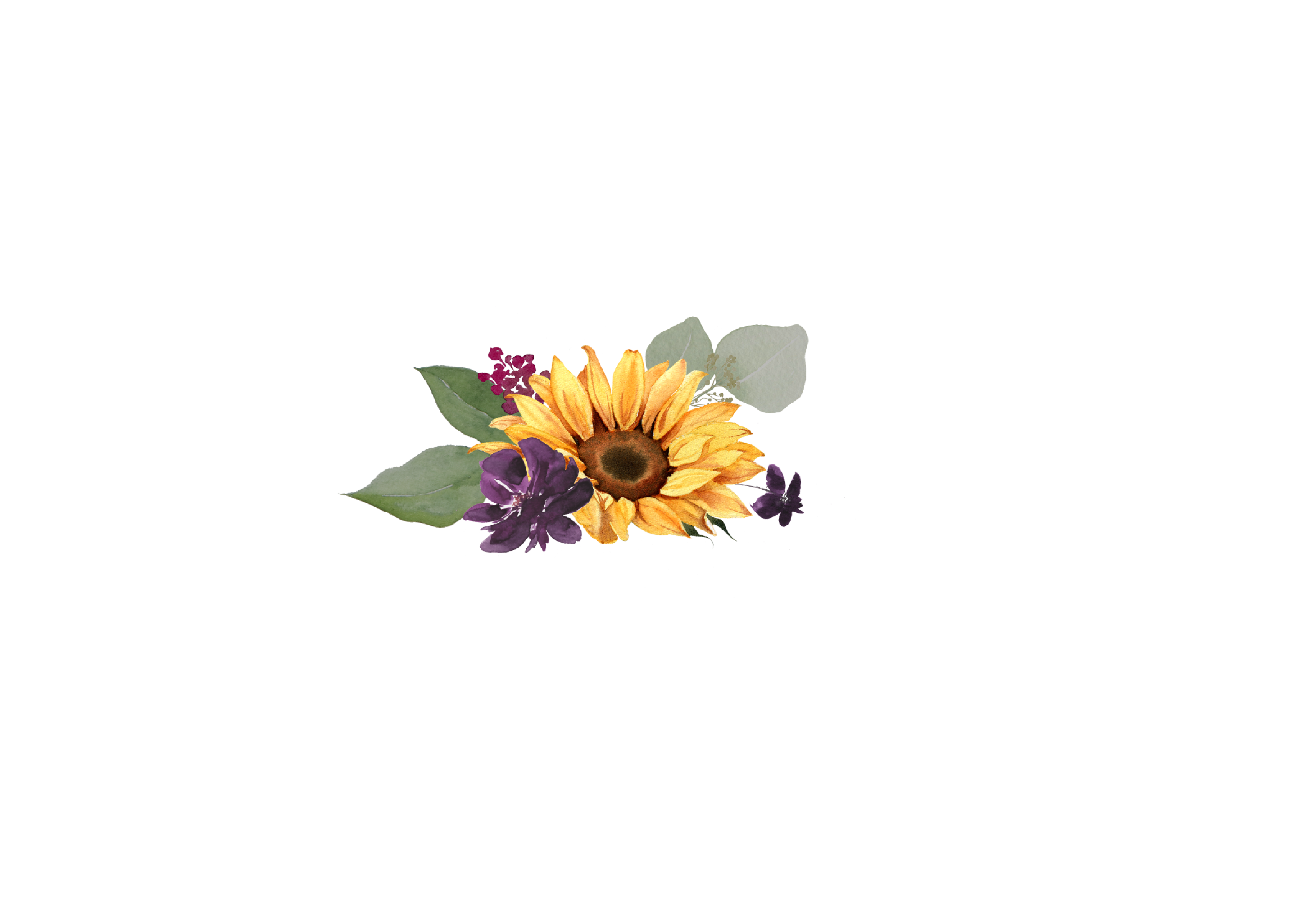 Top Theme Image