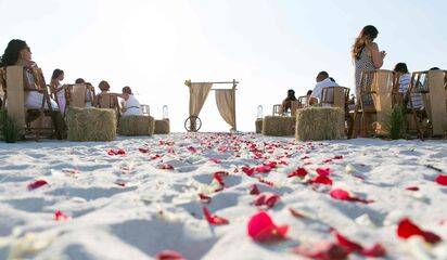 Gulf Beach Weddings Wedding Planners St Pete Beach Fl