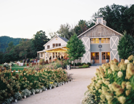 Pippin Hill Farm & Vineyards wedding venue in North Garden, Virginia