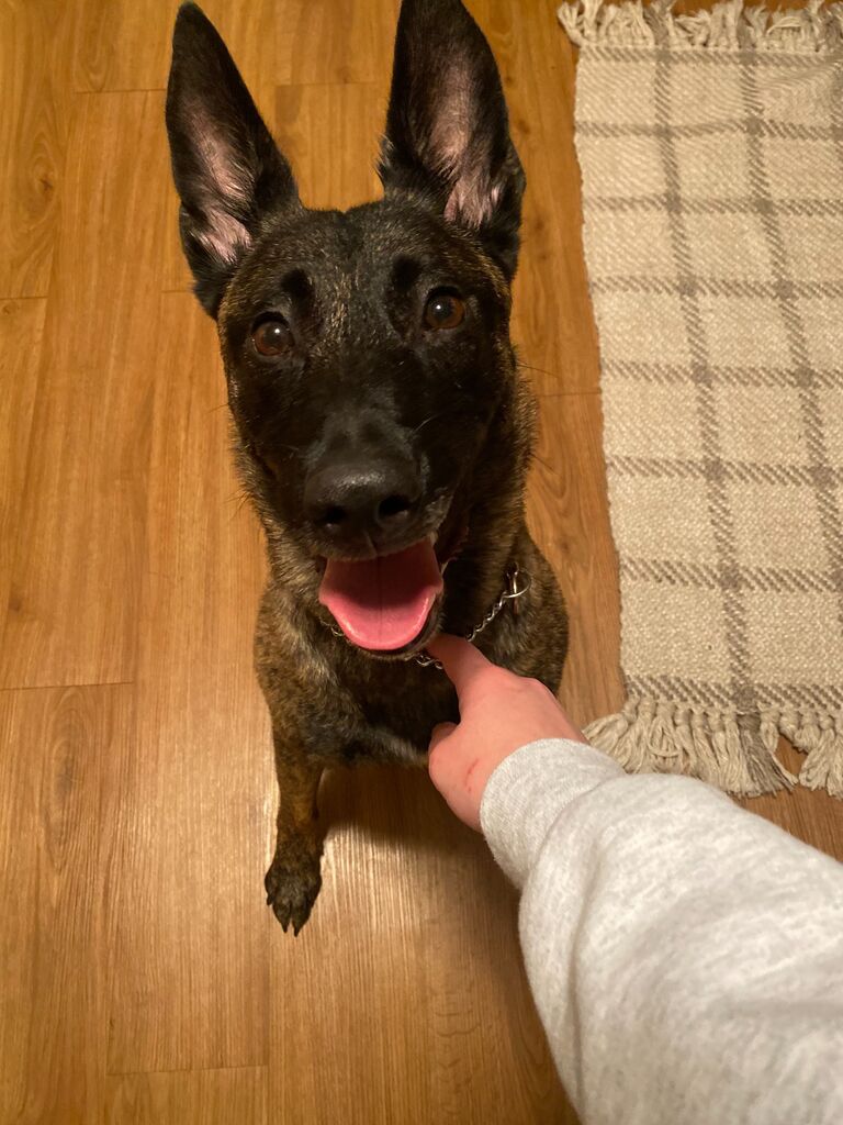 We brought home our favorite girl 