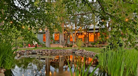 The Koi Pond Canopy That Made Us Curious