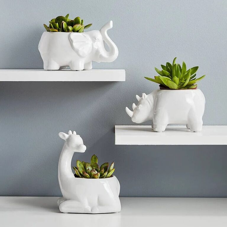 Animal-shaped succulent holder gift idea for 40th anniversary. 
