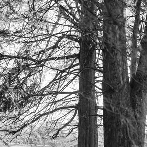 Gallery Photo 371