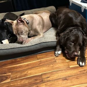 Gallery Photo 25