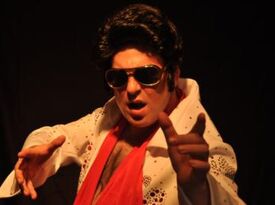 Fun Elvis - Elvis Impersonator - Orlando, FL - Hero Gallery 1