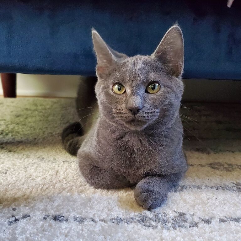 Brought home our perfect daughter, Darling Sybil.