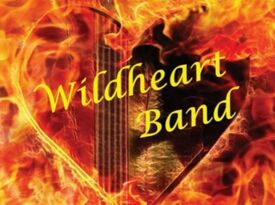 Wildheart Country / Rock Band - Country Band - Greenwood, IN - Hero Gallery 1