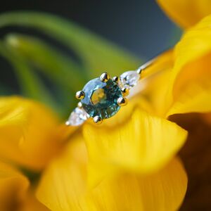 Gallery Photo 33