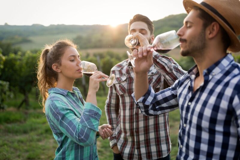 summer party ideas - wine tasting