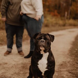 Gallery Photo 25