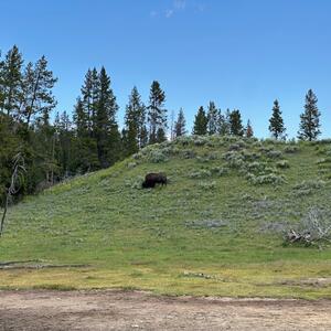 Gallery Photo 113