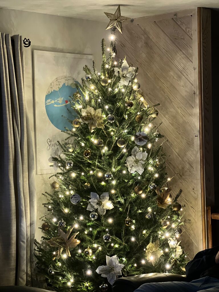 First Christmas in our HOME