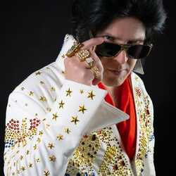 The Most authentic tribute to Elvis (Todd Berry), profile image