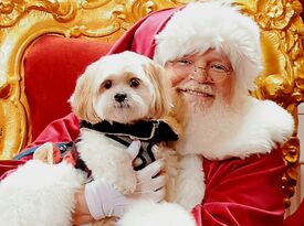 Silly Santa - Santa Claus - Los Angeles, CA - Hero Gallery 1