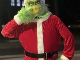 Hulk, Santa, Fezzik, Groot, Medieval, Grinch - Costumed Character - Montoursville, PA - Hero Gallery 3