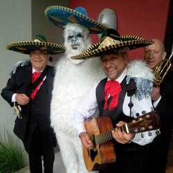 The 3 Amigos Kc Mariachi Band, profile image