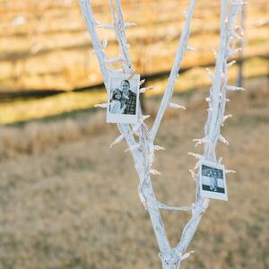Gallery Photo 8