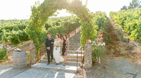 Steep steps, The stairs lead to some upper-level vineyard t…