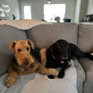 Gallery Photo 6