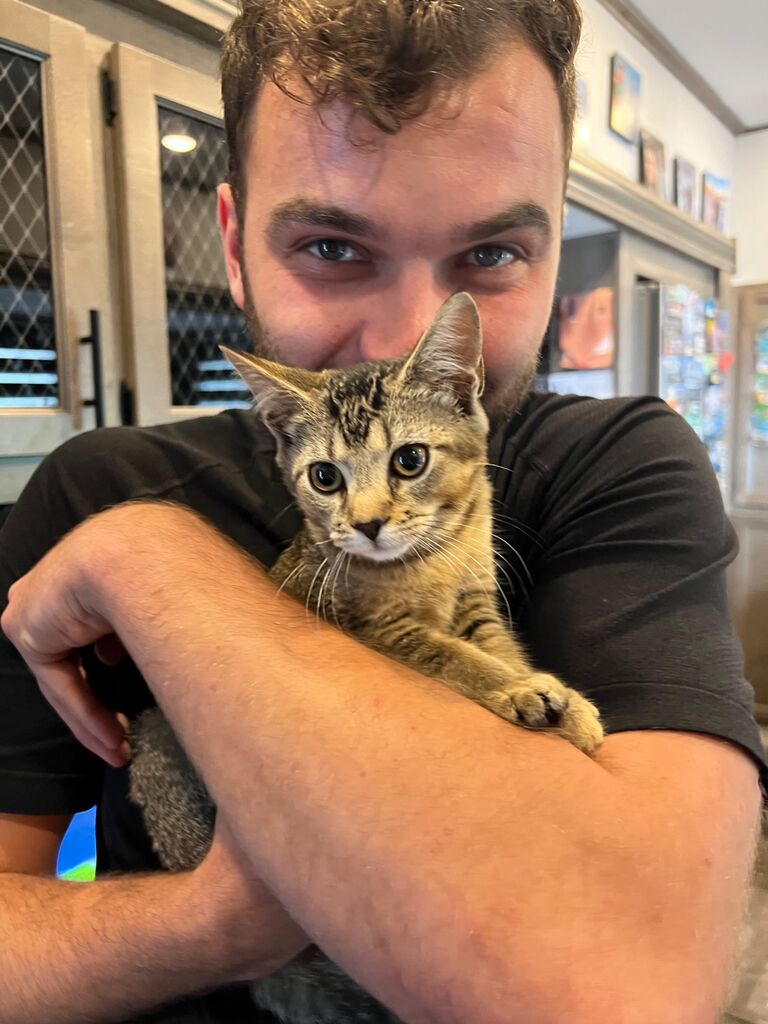 First cat together
