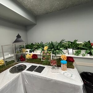 Gallery Photo 35
