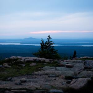Gallery Photo 28